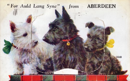 For Auld Lang Syne from Aberdeen, 1933. Scottish terriers.