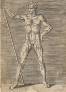 Flayed man seen from in front, holding a stick, ca. 1531-76.
