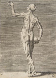 Man seen from the Back, holding a Skull in his right Hand, 16th century.