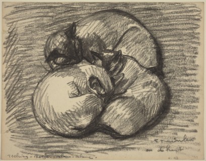 The Cats: Tsching, Batzar and Blanc-Blanc, late 19th-early 20th century.