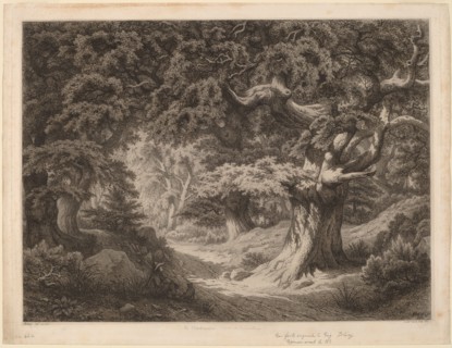 Le Charlemagne (forêt de fontainebleau), 1861. Creator: Eugene Blery.