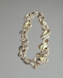 String of cowrie shells, 1800 - 1968. Creator: Unknown.