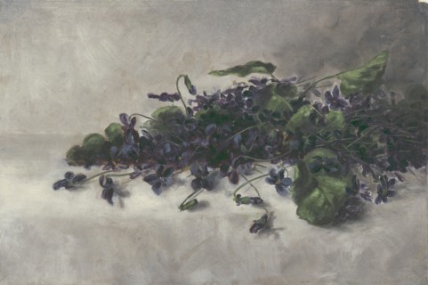 Violets, ca. 1890. Creator: Pauline Powell Burns.