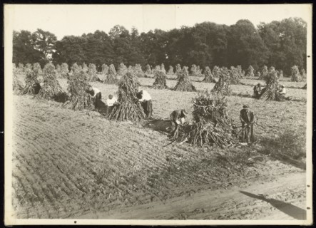 Untitled, ca. 1935. Creator: Lewis Wickes Hine.