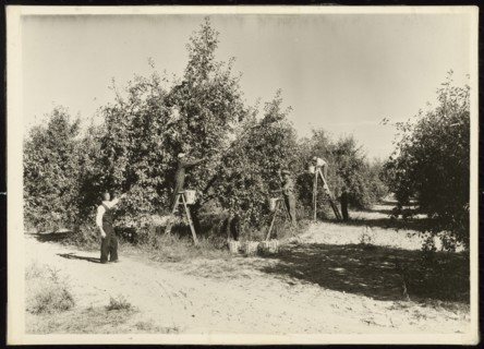 Untitled, ca. 1935. Creator: Lewis Wickes Hine.