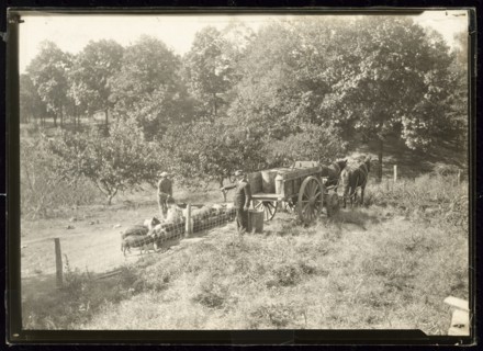 Untitled, ca. 1935. Creator: Lewis Wickes Hine.