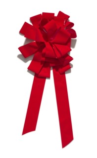 Red bow from the car giveaway episode of The Oprah Winfrey Show, 2004. Creator: Unknown.