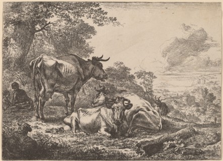 Resting Cows. Creator: Nicolaes Berchem.