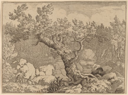 Sportsman near a Large Tree, probably c. 1645/1656. Creator: Allart van Everdingen.