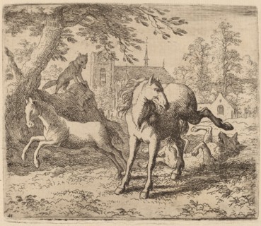 The Mare and the Wolf, probably c. 1645/1656. Creator: Allart van Everdingen.