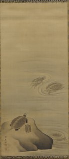 Turtles, Edo period, 18th century. Creator: Maruyama Okyo.