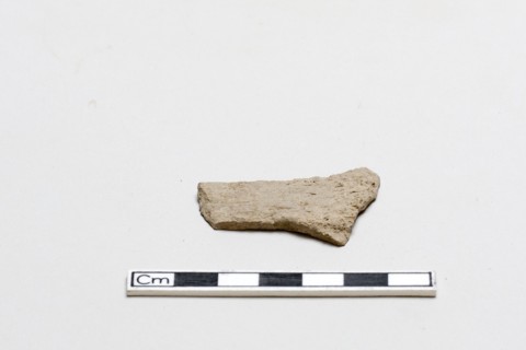 Oracle bone, inscribed, Shang dynasty, ca. 1600 - ca. 1050 BCE. Creator: Unknown.