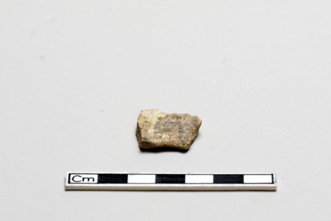 Oracle bone, inscribed, Shang dynasty, ca. 1600 - ca. 1050 BCE. Creator: Unknown.