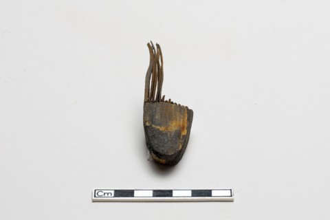Comb, Warring States period, 5th-3rd century BCE. Creator: Unknown.