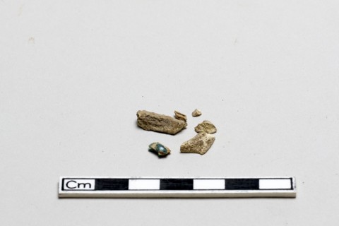Bone fragments, Shang dynasty, ca. 1600 - ca. 1050 BCE. Creator: Unknown.