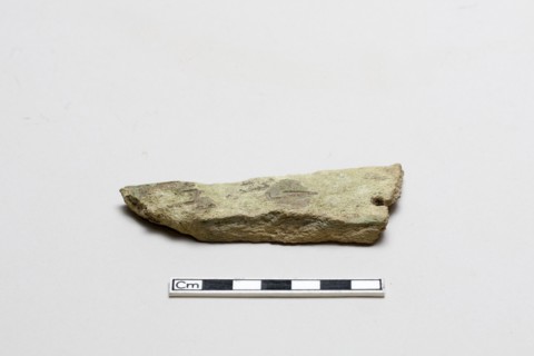 Bone, decorated fragment, Shang dynasty, ca. 1600 - ca. 1050 BCE. Creator: Unknown.
