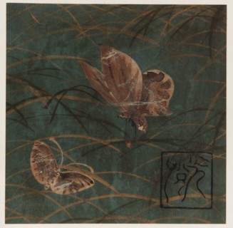 Butterflies and grasses, Edo period, early 17th century. Creator: Hon'ami Kôetsu.