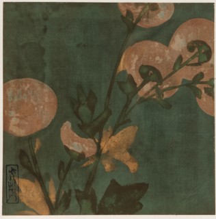 Chrysanthemums, Edo period, late 16th-early 17th century.  Creator: Hon'ami Kôetsu.