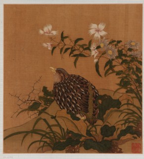 Quail and flowers, Qing dynasty, 18th century. Creator: Unknown.
