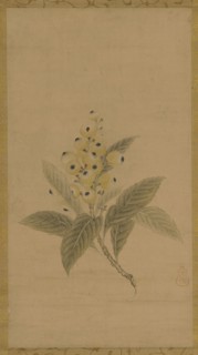 A branch of medlars, Edo period, 17th century. Creator: Kanô Tan'yû.