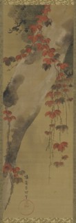 Pine tree and autumn vine, Edo period, late 18th century. Creator: Tawaraya Sori.