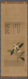 A branch of loquats, Edo period, 18th century. Creator: Kanô Eisen'in Michinobu.