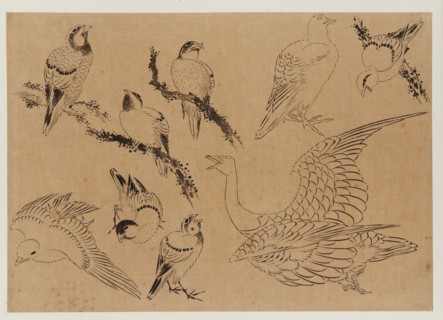 Birds, Edo period, late 18th-early 19th century. Creator: Hokusai.