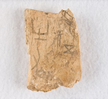 Inscribed bone fragment ("oracle bone"), Late Shang dynasty, ca. 1300-1050 BCE. Creator: Unknown.