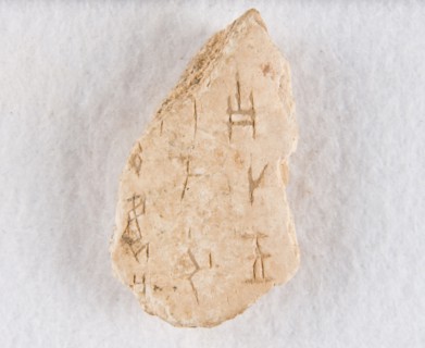 Inscribed bone fragment ("oracle bone"), Late Shang dynasty, ca. 1300-1050 BCE. Creator: Unknown.