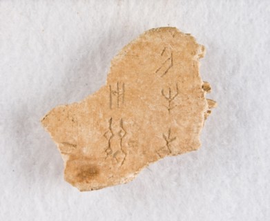 Inscribed bone fragment ("oracle bone"), Late Shang dynasty, ca. 1300-1050 BCE. Creator: Unknown.