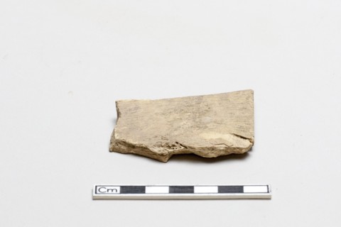 Oracle bone, incribed, Shang dynasty, ca. 1600 - ca. 1050 BCE. Creator: Unknown.
