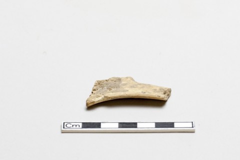 Oracle bone, inscribed, Shang dynasty, ca. 1600 - ca. 1050 BCE. Creator: Unknown.