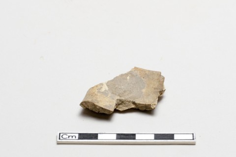 Oracle bone, inscribed, Shang dynasty, ca. 1600 - ca. 1050 BCE. Creator: Unknown.