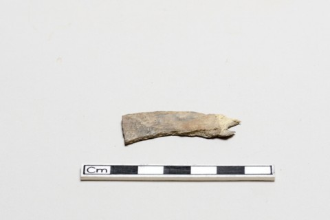 Oracle bone, inscribed, Shang dynasty, ca. 1600 - ca. 1050 BCE. Creator: Unknown.