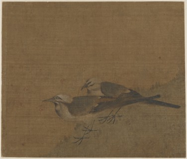 Two pied wagtails, Yuan dynasty, (14th century?). Creator: Unknown.