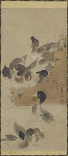 Ducks, Edo period, (18th century?). Creator: Unknown.