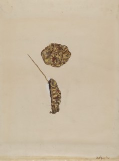 Brooch, c. 1936. Creator: Grace Halpin.