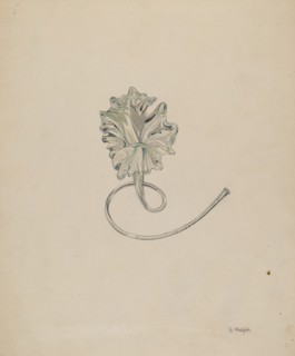 Flower (Lily), c. 1937. Creator: Grace Halpin.