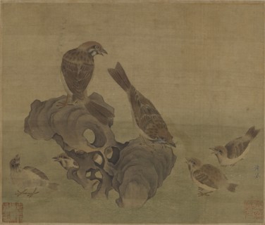 Sparrows feeding their young, Ming or Qing dynasty, (17th century?). Creator: Unknown.