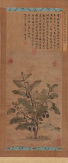 Eggplant, Ming dynasty, 1368-1644. Creator: Unknown.