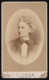 Portrait of James Dwight Dana (1813-1895), Before 1891. Creator: William Notman.