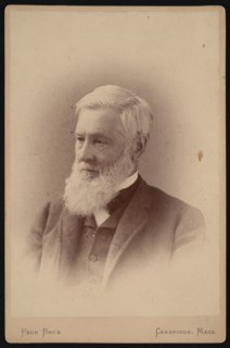 Portrait of Asa Gray (1810-1888), March 1887. Creator: Pach Bros.
