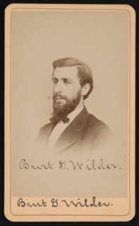 Portrait of Burt Green Wilder (1841-1925), Circa 1870s. Creator: Purdy & Frear.