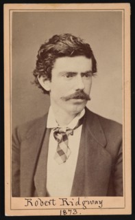 Portrait of Robert Ridgway (1850-1929), April 1873. Creator: Ulke Bros.