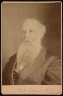 Portrait of Henry Coppee´ (1821-1895), 1875. Creator: Unknown.