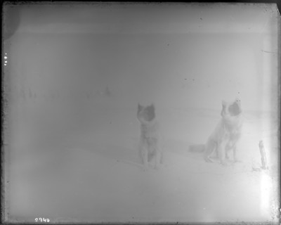Northern Alaska Exploring Expedition, 1884-1886. Creator: Unknown.