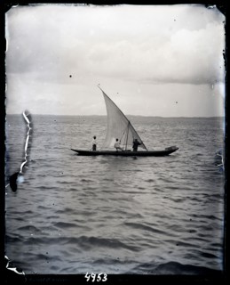 United States Fish Commission Steamer "Albatross" Circumnavigation of South America, 1888. Creator: United States National Museum Photographic Laboratory.