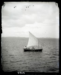 United States Fish Commission Steamer "Albatross" Circumnavigation of South America, 1888. Creator: United States National Museum Photographic Laboratory.