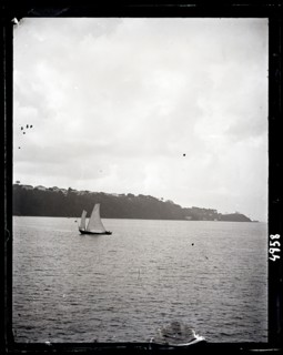 United States Fish Commission Steamer "Albatross" Circumnavigation of South America, 1888. Creator: United States National Museum Photographic Laboratory.