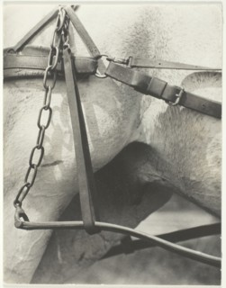Equivalent, Spiritual America, 1923. Creator: Alfred Stieglitz.